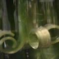 2009 02 17 021.JPG